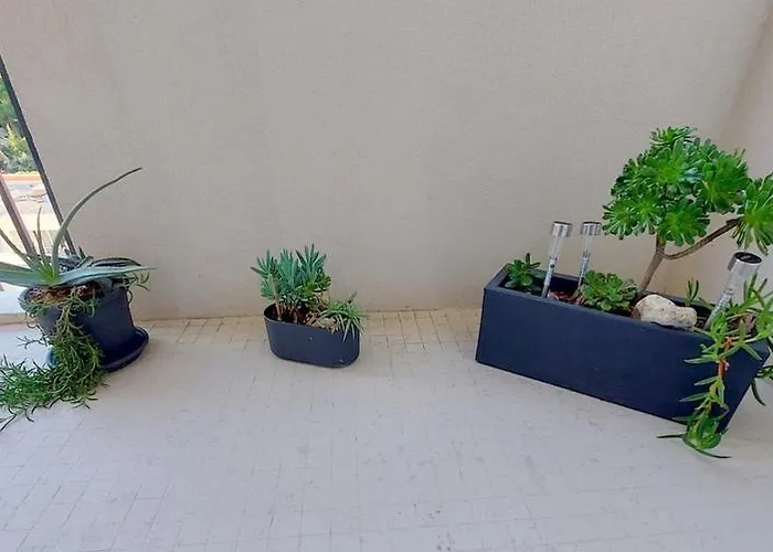 Apartment Capet Les Dahlias - Axelle Loc'appart Sainte-Maxime