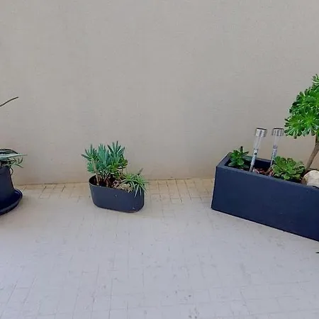 Apartment Capet Les Dahlias - Axelle Loc'appart Sainte-Maxime