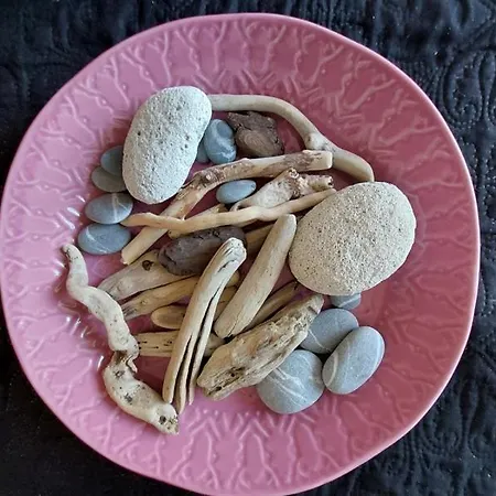 Capet Les Dahlias - Axelle Loc'appart Sainte-Maxime