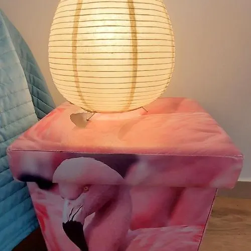 Capet Les Dahlias - Axelle Loc'appart * 圣马克西姆