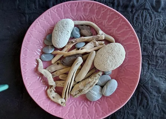 Capet Les Dahlias - Axelle Loc'appart Σαιντ-Μαξίμ